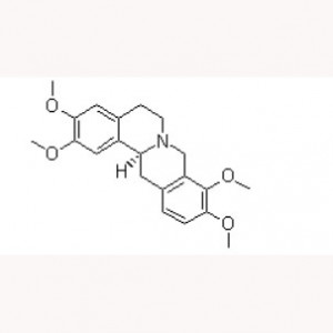 Rotundine Tetrahydropalmatin CAS 10097-84-4