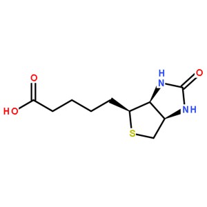 2% D-BIOTIN,C10H16N2O3S,Vitamin H,Vitamin B7,CAS:58-85-5